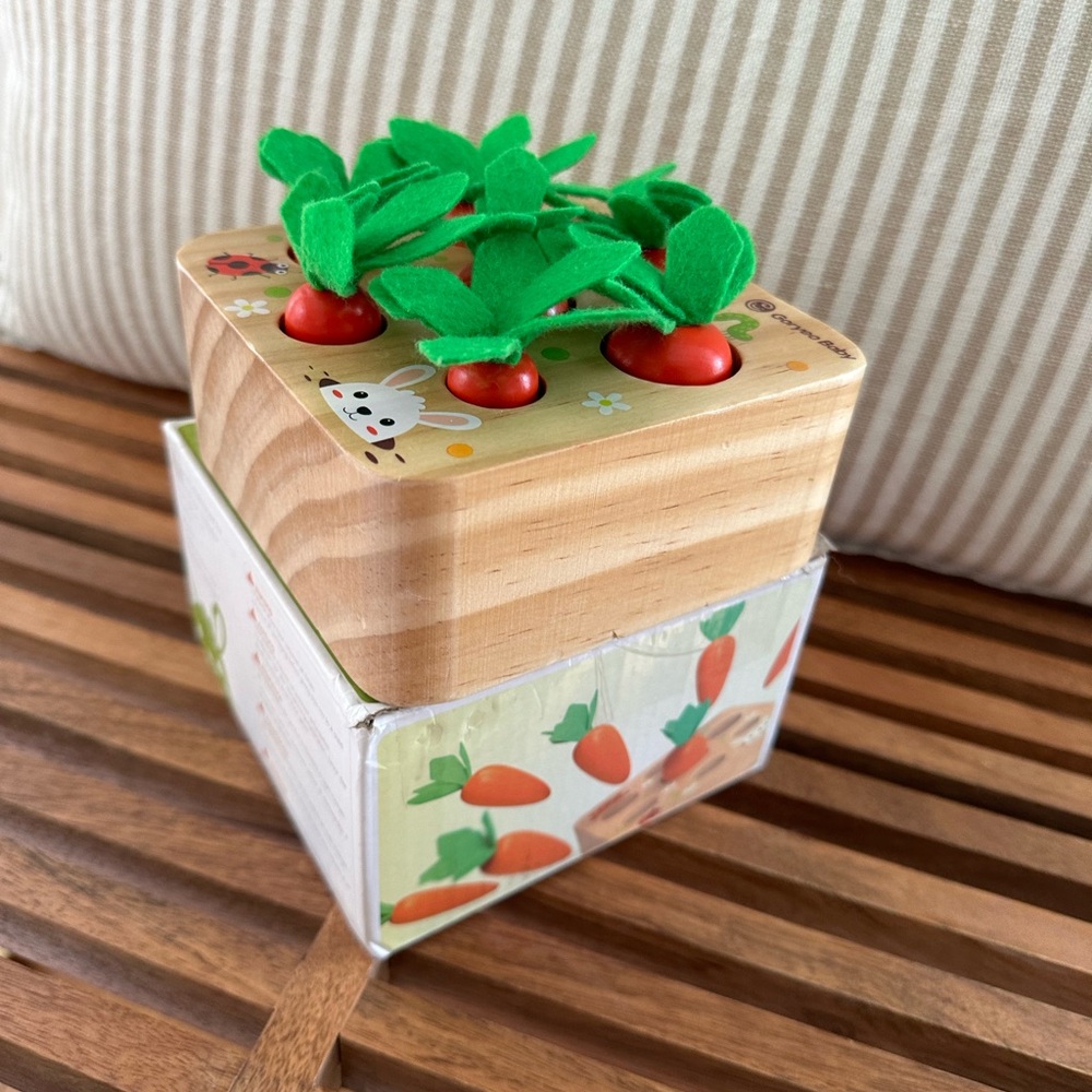 Montessori Matching Puzzle Carrots Harvest Game